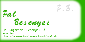 pal besenyei business card